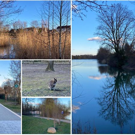 Ferienwohnung Am Jahnteich Weisswasser Exteriér fotografie