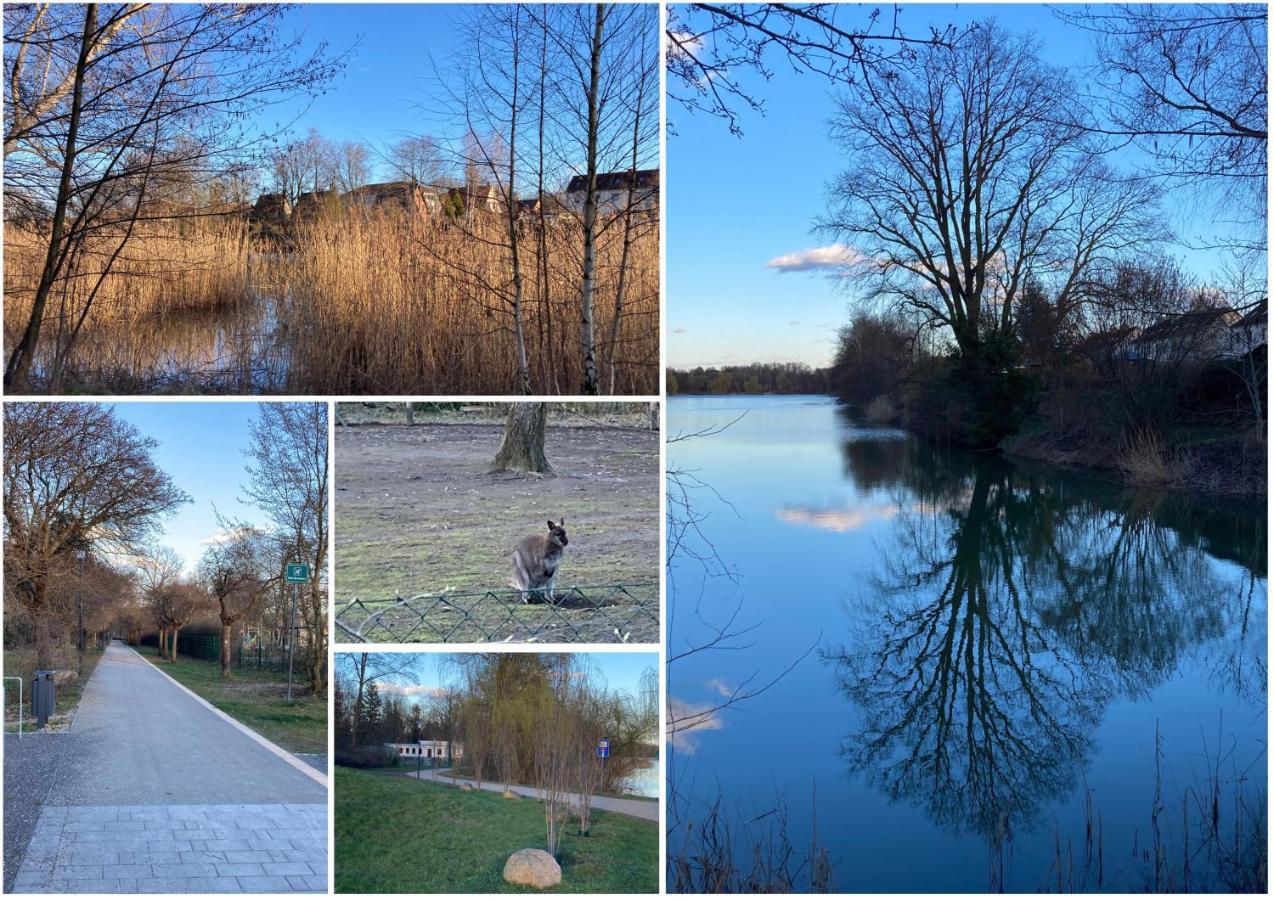 Ferienwohnung Am Jahnteich Weisswasser Exteriér fotografie